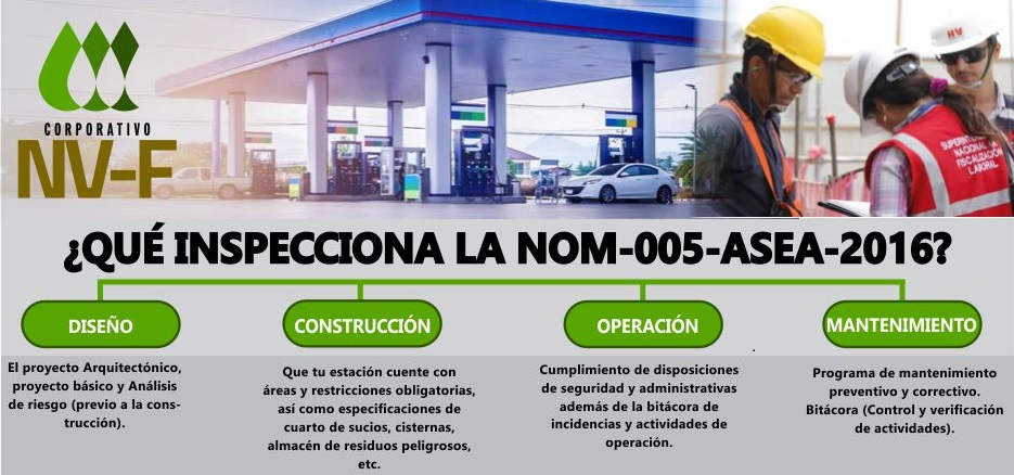 Descripción de la imagen